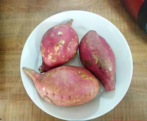 免费吃瓜地瓜,畅享田园美味新体验